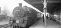 Vintage steam locomotive at a station platform with people around