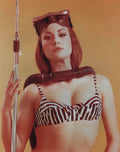 Woman in a zebra print bikini and helmet with a spear on an orange background